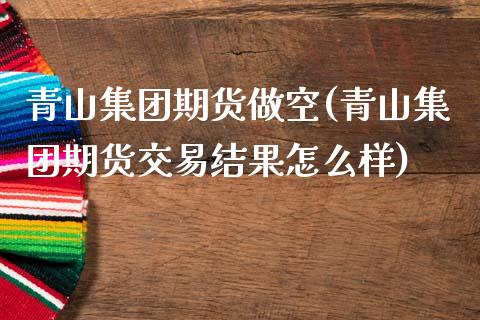青山集团期货做空(青山集团期货交易结果怎么样)_https://www.zztgc.com_期货入门_第1张