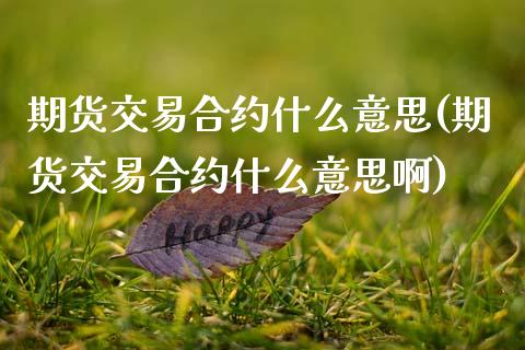 期货交易合约什么意思(期货交易合约什么意思啊)_https://www.zztgc.com_期货开户_第1张