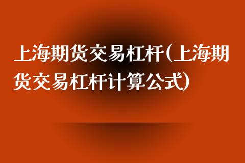 上海期货交易杠杆(上海期货交易杠杆计算公式)_https://www.zztgc.com_期货直播_第1张