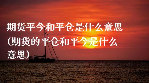 期货平今和平仓是什么意思(期货的平仓和平今是什么意思)_https://www.zztgc.com_期货直播_第1张