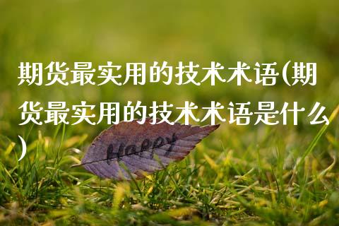 期货最实用的技术术语(期货最实用的技术术语是什么)_https://www.zztgc.com_期货行情_第1张