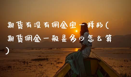 期货有没有佣金宝一样的(期货佣金一般是多少怎么算)_https://www.zztgc.com_期货直播_第1张