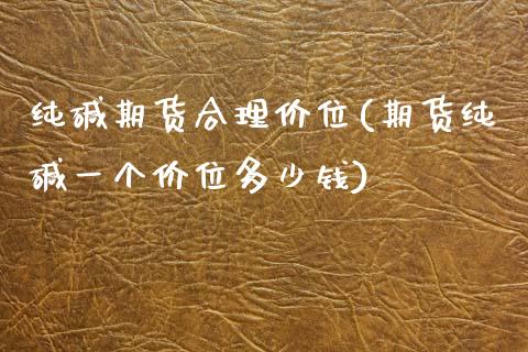 纯碱期货合理价位(期货纯碱一个价位多少钱)_https://www.zztgc.com_期货行情_第1张