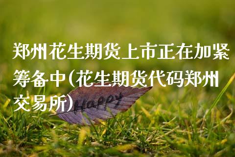 郑州花生期货上市正在加紧筹备中(花生期货代码郑州交易所)_https://www.zztgc.com_期货直播_第1张