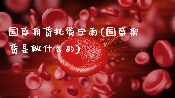 国盛期货托管宁南(国盛期货是做什么的)_https://www.zztgc.com_期货入门_第1张