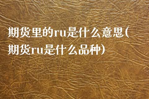 期货里的ru是什么意思(期货ru是什么品种)_https://www.zztgc.com_原油期货_第1张
