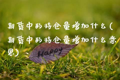 期货中的持仓量增加什么(期货中的持仓量增加什么意思)_https://www.zztgc.com_期货入门_第1张