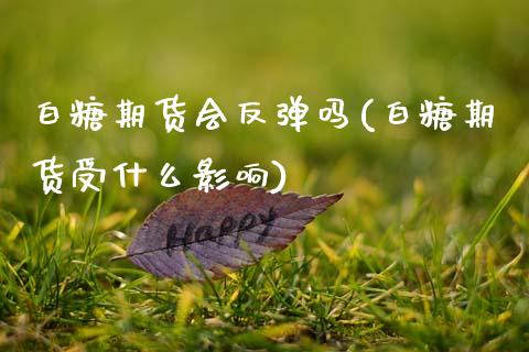 白糖期货会反弹吗(白糖期货受什么影响)_https://www.zztgc.com_期货直播_第1张