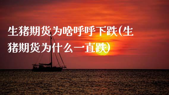 生猪期货为啥呼呼下跌(生猪期货为什么一直跌)_https://www.zztgc.com_期货直播_第1张