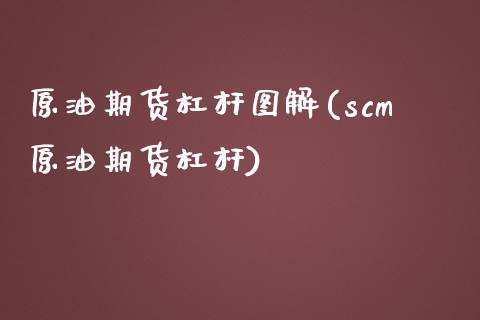 原油期货杠杆图解(scm原油期货杠杆)_https://www.zztgc.com_期货行情_第1张
