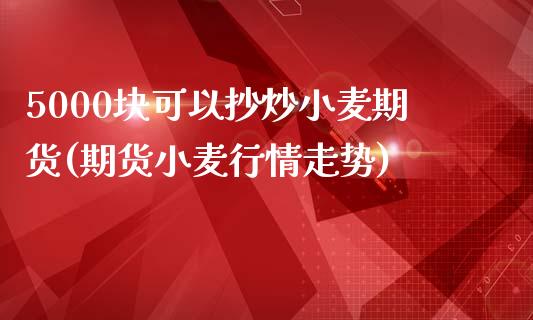 5000块可以抄炒小麦期货(期货小麦行情走势)_https://www.zztgc.com_期货入门_第1张