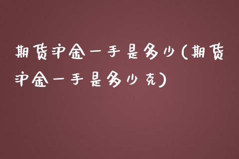 期货沪金一手是多少(期货沪金一手是多少克)_https://www.zztgc.com_期货入门_第1张