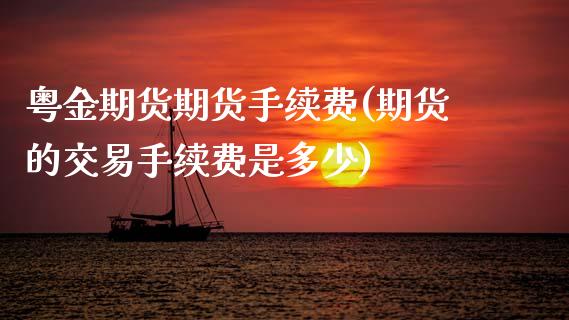 粤金期货期货手续费(期货的交易手续费是多少)_https://www.zztgc.com_期货入门_第1张