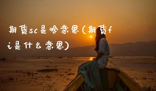 期货sc是啥意思(期货fi是什么意思)_https://www.zztgc.com_期货入门_第1张