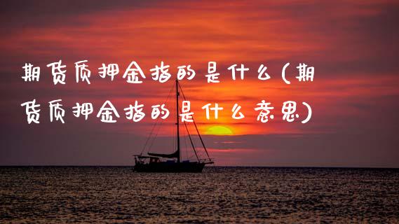 期货质押金指的是什么(期货质押金指的是什么意思)_https://www.zztgc.com_期货行情_第1张