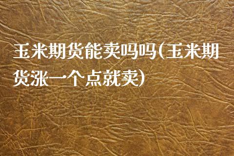 玉米期货能卖吗吗(玉米期货涨一个点就卖)_https://www.zztgc.com_期货直播_第1张