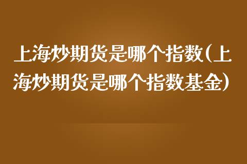 上海炒期货是哪个指数(上海炒期货是哪个指数基金)_https://www.zztgc.com_期货入门_第1张