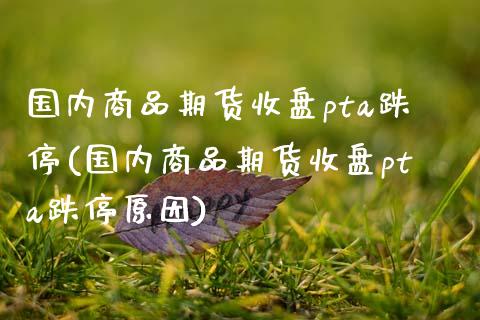 国内商品期货收盘pta跌停(国内商品期货收盘pta跌停原因)_https://www.zztgc.com_期货入门_第1张