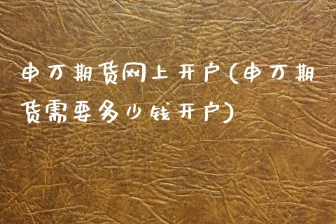 申万期货网上开户(申万期货需要多少钱开户)_https://www.zztgc.com_期货入门_第1张