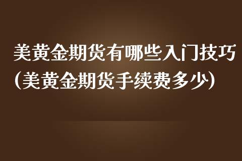 美黄金期货有哪些入门技巧(美黄金期货手续费多少)_https://www.zztgc.com_黄金期货_第1张