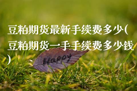 豆粕期货最新手续费多少(豆粕期货一手手续费多少钱)_https://www.zztgc.com_期货入门_第1张