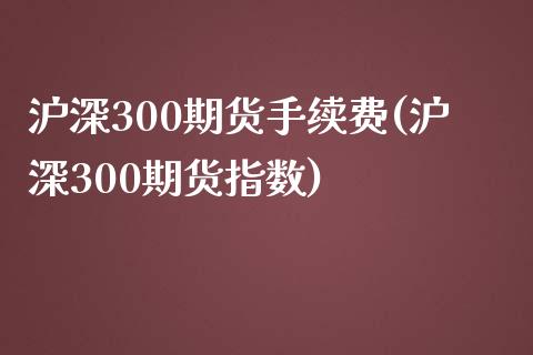 沪深300期货手续费(沪深300期货指数)_https://www.zztgc.com_期货入门_第1张