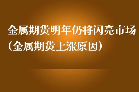 金属期货明年仍将闪亮市场(金属期货上涨原因)_https://www.zztgc.com_期货直播_第1张