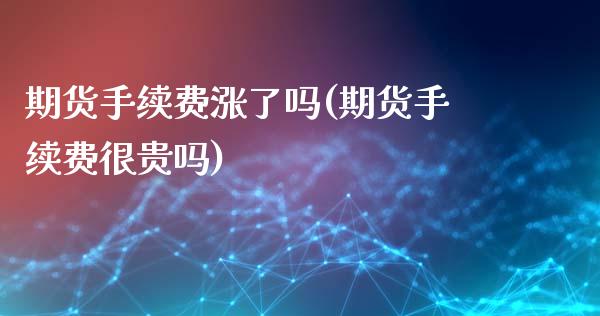 期货手续费涨了吗(期货手续费很贵吗)_https://www.zztgc.com_期货行情_第1张