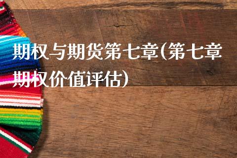 期权与期货第七章(第七章期权价值评估)_https://www.zztgc.com_期货行情_第1张