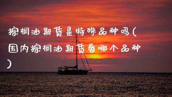 棕榈油期货是特殊品种吗(国内棕榈油期货看哪个品种)_https://www.zztgc.com_期货直播_第1张