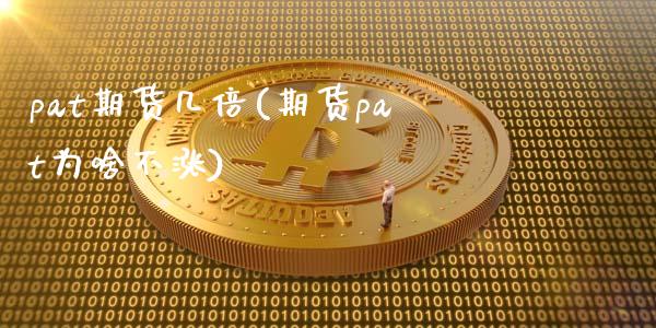 pat期货几倍(期货pat为啥不涨)_https://www.zztgc.com_原油期货_第1张