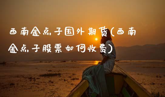 西南金点子国外期货(西南金点子股票如何收费)_https://www.zztgc.com_黄金期货_第1张