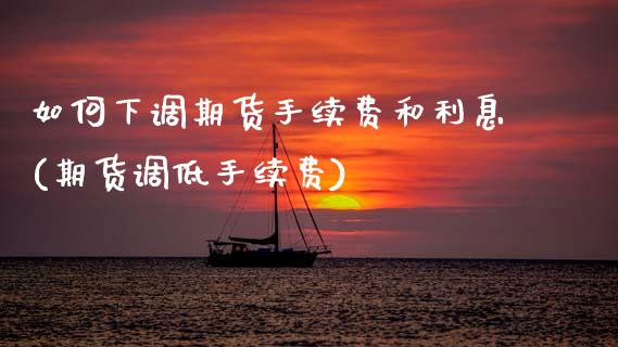 如何下调期货手续费和利息(期货调低手续费)_https://www.zztgc.com_黄金期货_第1张
