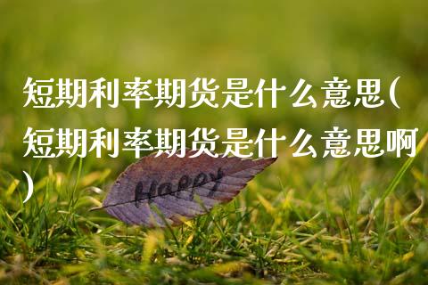 短期利率期货是什么意思(短期利率期货是什么意思啊)_https://www.zztgc.com_期货直播_第1张