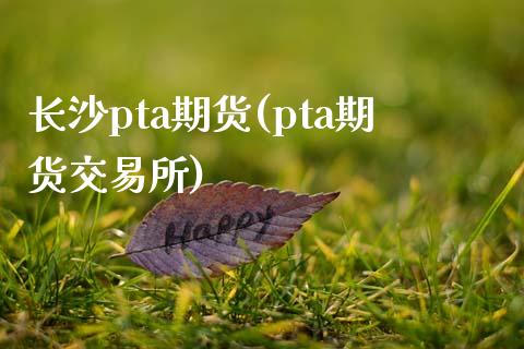 长沙pta期货(pta期货交易所)_https://www.zztgc.com_期货开户_第1张