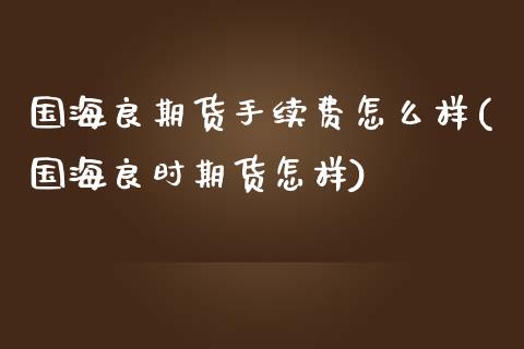 国海良期货手续费怎么样(国海良时期货怎样)_https://www.zztgc.com_期货开户_第1张