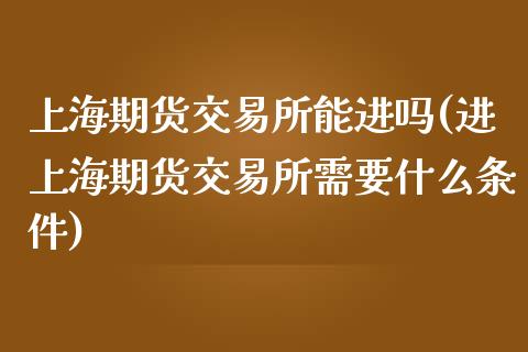 上海期货交易所能进吗(进上海期货交易所需要什么条件)_https://www.zztgc.com_期货入门_第1张