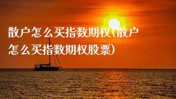 散户怎么买指数期权(散户怎么买指数期权股票)_https://www.zztgc.com_原油期货_第1张