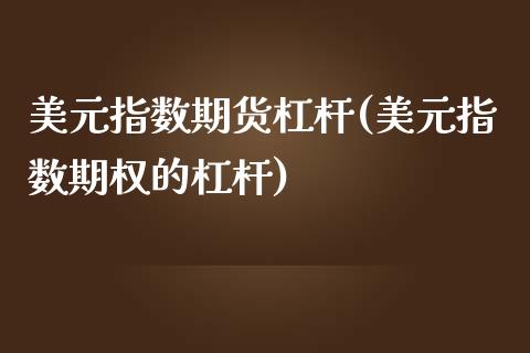 美元指数期货杠杆(美元指数期权的杠杆)_https://www.zztgc.com_期货入门_第1张
