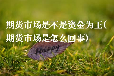 期货市场是不是资金为王(期货市场是怎么回事)_https://www.zztgc.com_期货行情_第1张