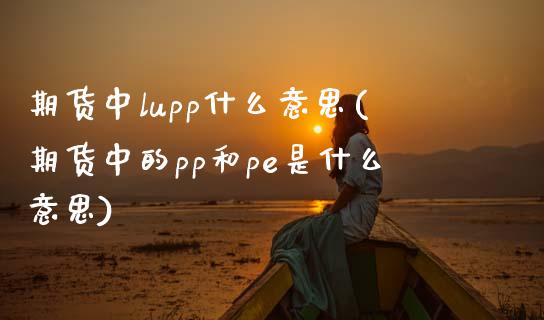 期货中lupp什么意思(期货中的pp和pe是什么意思)_https://www.zztgc.com_期货入门_第1张