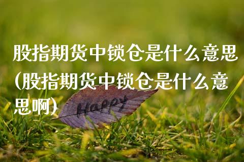 股指期货中锁仓是什么意思(股指期货中锁仓是什么意思啊)_https://www.zztgc.com_期货入门_第1张
