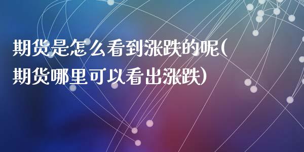 期货是怎么看到涨跌的呢(期货哪里可以看出涨跌)_https://www.zztgc.com_期货入门_第1张