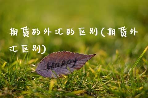 期货的外汇的区别(期货外汇区别)_https://www.zztgc.com_原油期货_第1张