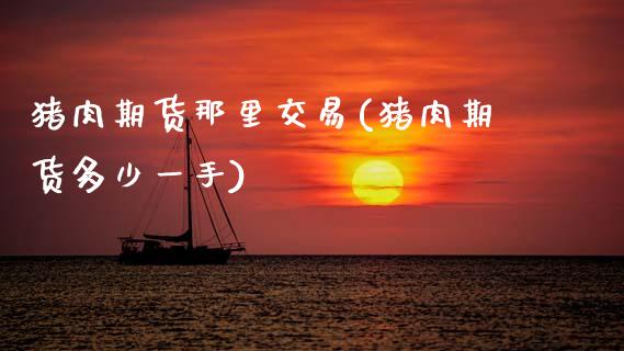 猪肉期货那里交易(猪肉期货多少一手)_https://www.zztgc.com_期货直播_第1张