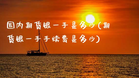 国内期货银一手是多少(期货银一手手续费是多少)_https://www.zztgc.com_期货入门_第1张