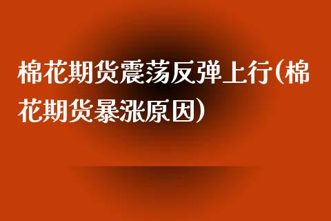 棉花期货震荡反弹上行(棉花期货暴涨原因)_https://www.zztgc.com_期货入门_第1张