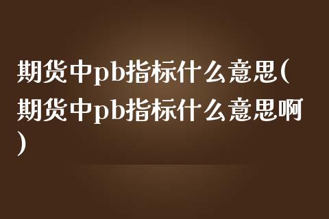 期货中pb指标什么意思(期货中pb指标什么意思啊)_https://www.zztgc.com_期货行情_第1张