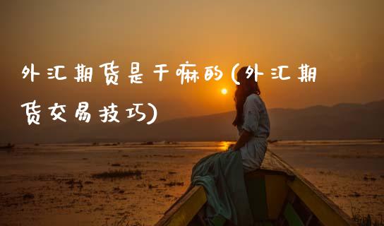 外汇期货是的(外汇期货交易技巧)_https://www.zztgc.com_期货入门_第1张