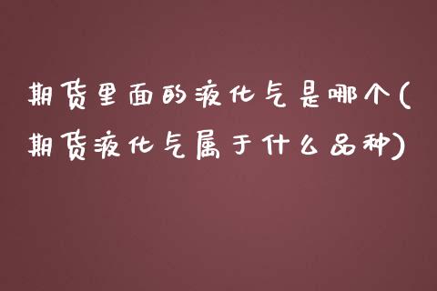 期货里面的液化气是哪个(期货液化气属于什么品种)_https://www.zztgc.com_期货入门_第1张